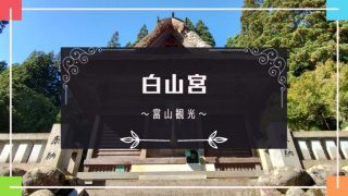 Thumbnail of post image 030